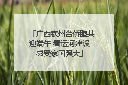 广西钦州台侨胞共迎端午 看运河建设感受家国强大