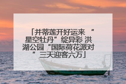 并蒂莲开好运来 “星空牡丹”绽异彩 洪湖公园“国际荷花派对”三天迎客六万