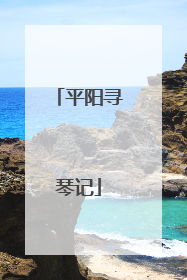 平阳寻琴记