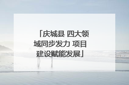 庆城县 四大领域同步发力 项目建设赋能发展
