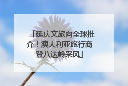 延庆文旅向全球推介！澳大利亚旅行商登八达岭采风