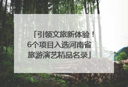 引领文旅新体验！6个项目入选河南省旅游演艺精品名录