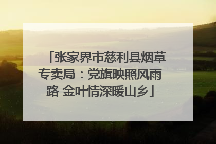 张家界市慈利县烟草专卖局：党旗映照风雨路 金叶情深暖山乡