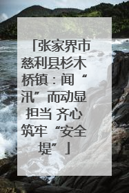 张家界市慈利县杉木桥镇：闻“汛”而动显担当 齐心筑牢“安全堤”