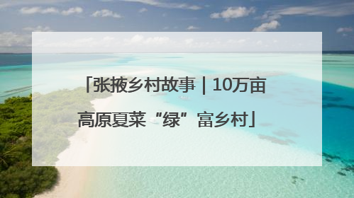 张掖乡村故事｜10万亩高原夏菜“绿”富乡村
