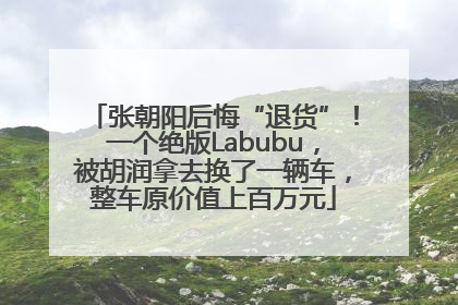 张朝阳后悔“退货”！一个绝版Labubu，被胡润拿去换了一辆车，整车原价值上百万元