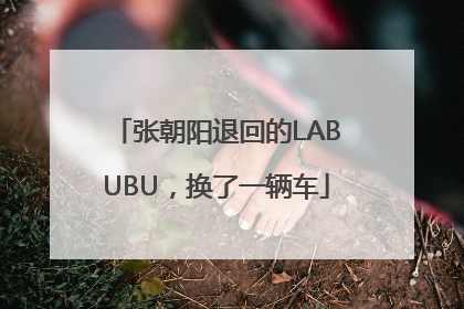 张朝阳退回的LABUBU，换了一辆车