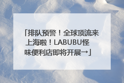 排队预警！全球顶流来上海啦！LABUBU怪味便利店即将开展→