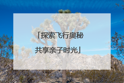 探索飞行奥秘 共享亲子时光