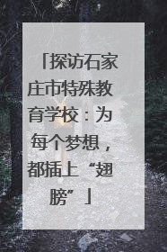 探访石家庄市特殊教育学校：为每个梦想，都插上“翅膀”