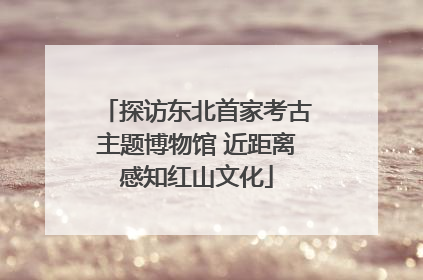 探访东北首家考古主题博物馆 近距离感知红山文化