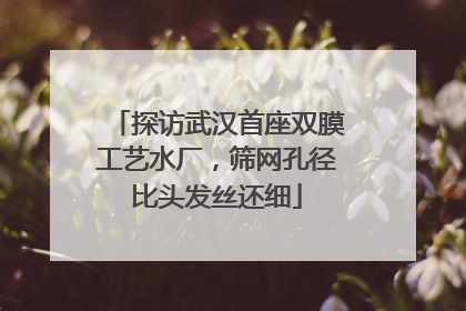 探访武汉首座双膜工艺水厂，筛网孔径比头发丝还细