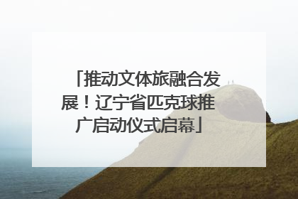 推动文体旅融合发展！辽宁省匹克球推广启动仪式启幕