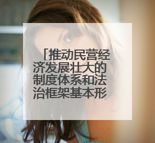 推动民营经济发展壮大的制度体系和法治框架基本形成