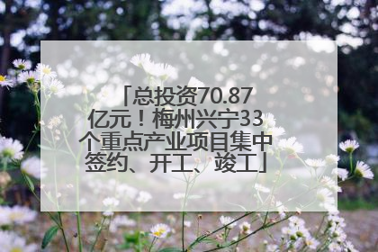 总投资70.87亿元！梅州兴宁33个重点产业项目集中签约、开工、竣工