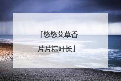 悠悠艾草香 片片粽叶长