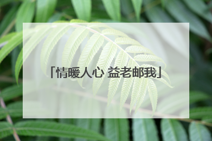 情暖人心 益老邮我