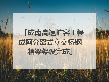 成南高速扩容工程成阿分离式立交桥钢箱梁架设完成