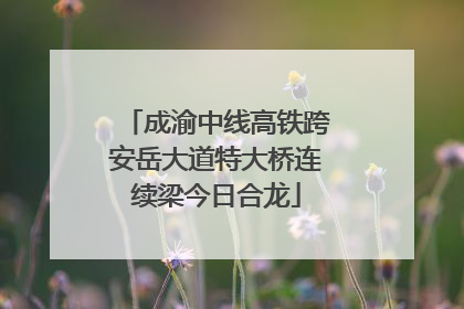 成渝中线高铁跨安岳大道特大桥连续梁今日合龙