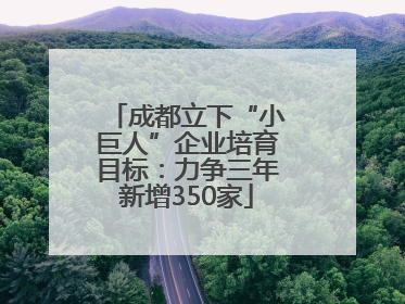 成都立下“小巨人”企业培育目标：力争三年新增350家