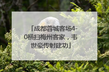 成都蓉城客场4-0横扫梅州客家，韦世豪传射建功