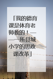 我的德育课是体育老师教的！——一所县城小学的思政课改革