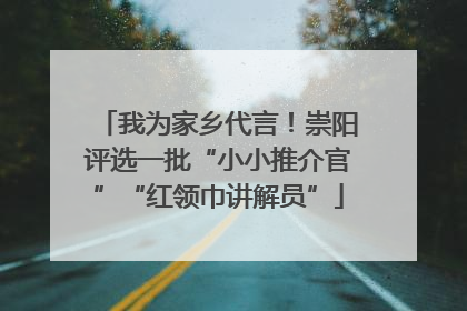 我为家乡代言！崇阳评选一批“小小推介官”“红领巾讲解员”