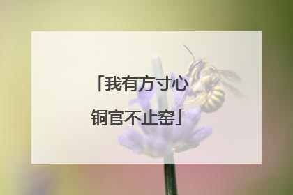 我有方寸心 铜官不止窑