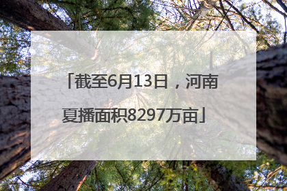 截至6月13日，河南夏播面积8297万亩