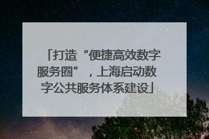 打造“便捷高效数字服务圈”，上海启动数字公共服务体系建设