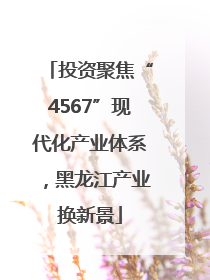投资聚焦“4567”现代化产业体系，黑龙江产业换新景