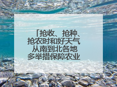 抢收、抢种、抢农时和好天气 从南到北各地多举措保障农业生产顺利进行