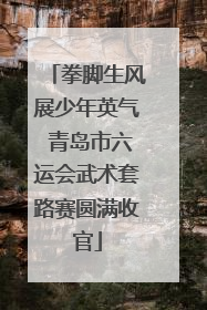 拳脚生风展少年英气 青岛市六运会武术套路赛圆满收官