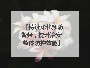 持续深化预防警务，提升治安整体防控效能