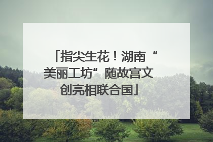 指尖生花！湖南“美丽工坊”随故宫文创亮相联合国