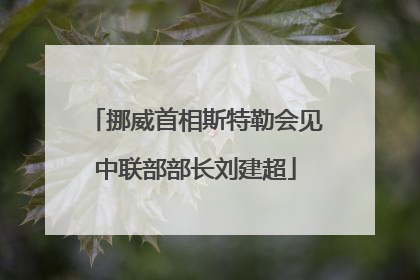 挪威首相斯特勒会见中联部部长刘建超