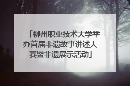 柳州职业技术大学举办首届非遗故事讲述大赛暨非遗展示活动