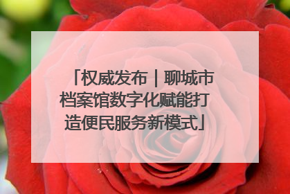 权威发布｜聊城市档案馆数字化赋能打造便民服务新模式
