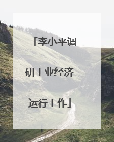 李小平调研工业经济运行工作