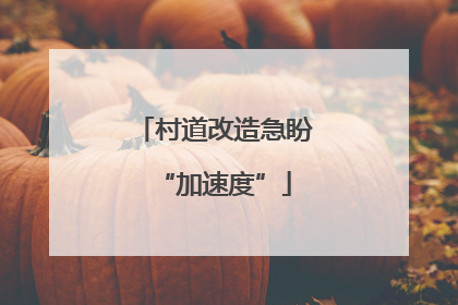 村道改造急盼“加速度”