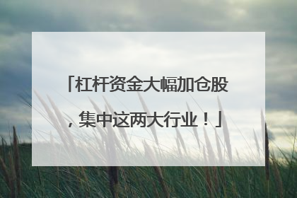 杠杆资金大幅加仓股，集中这两大行业！