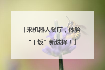 来机器人餐厅，体验“干饭”新选择！