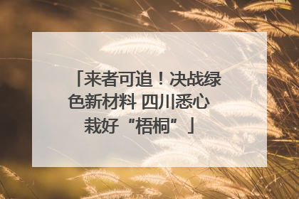 来者可追！决战绿色新材料 四川悉心栽好“梧桐”