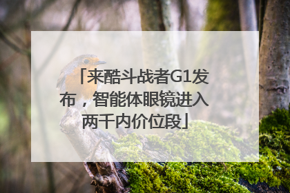 来酷斗战者G1发布，智能体眼镜进入两千内价位段