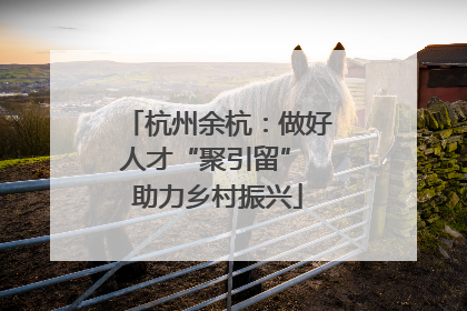 杭州余杭：做好人才“聚引留” 助力乡村振兴