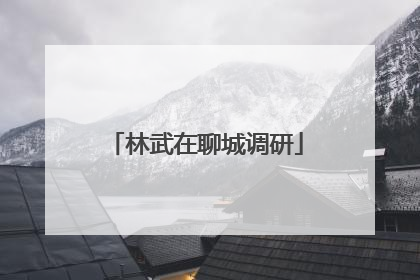 林武在聊城调研