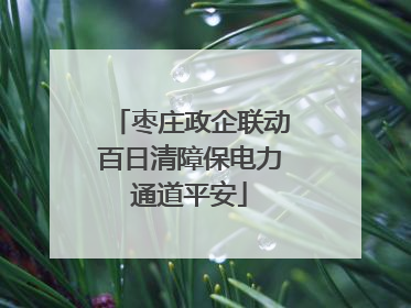 枣庄政企联动百日清障保电力通道平安