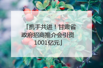 携手共进！甘肃省政府招商推介会引资1001亿元