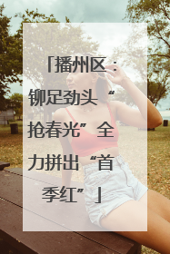 播州区：铆足劲头“抢春光”全力拼出“首季红”