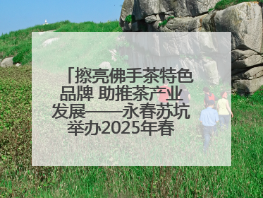 擦亮佛手茶特色品牌 助推茶产业发展——永春苏坑举办2025年春季佛手茶王赛